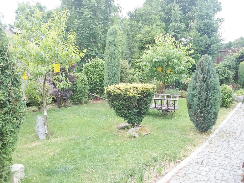 Penzion Hugo Sedlec-Prcice Exterior foto